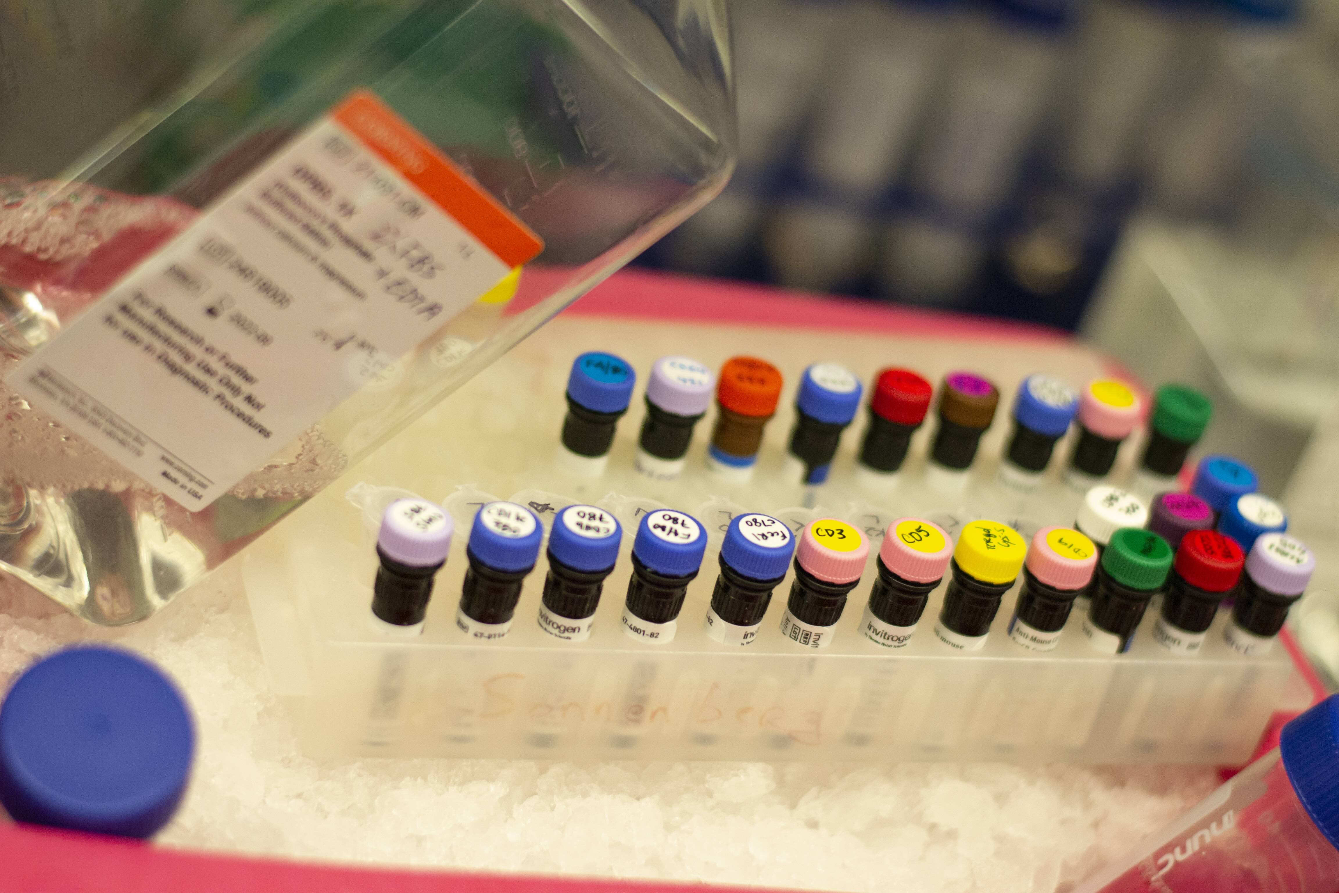 Reagents in Ice Bath